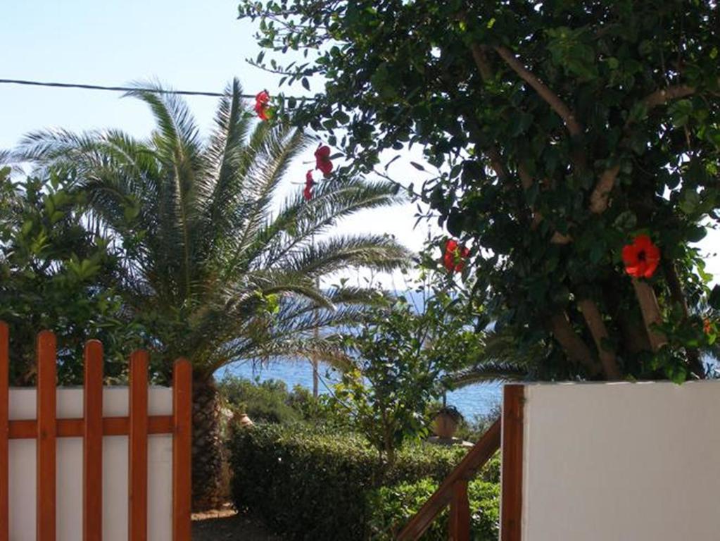 Zorbas Rooms Frangokastello Chambre photo